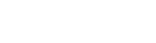 Item 1