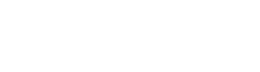 Item 1