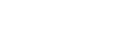 Item 1