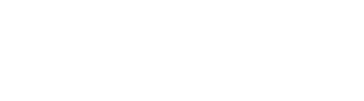 Item 1